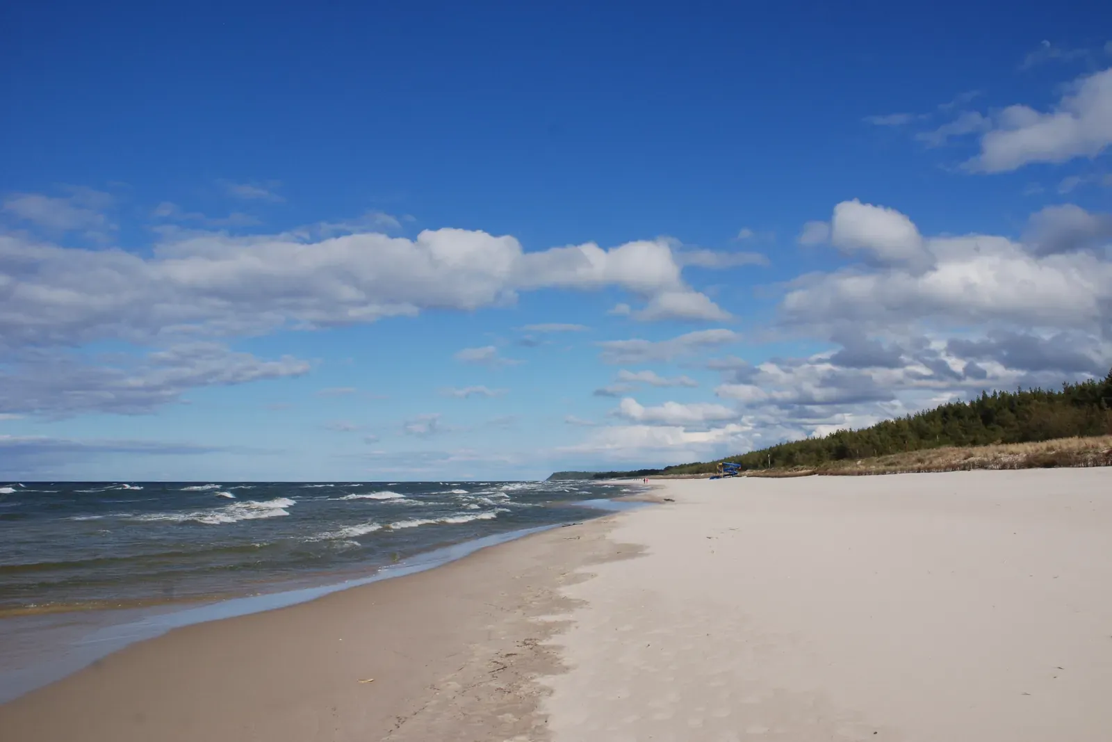 Szeroka, pusta plaża w Karwi z jasnym piaskiem, falami Bałtyku i sosnowym lasem na wydmach pod błękitnym niebem